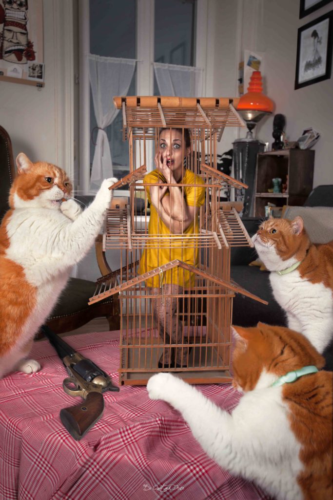 Jenny cage birds